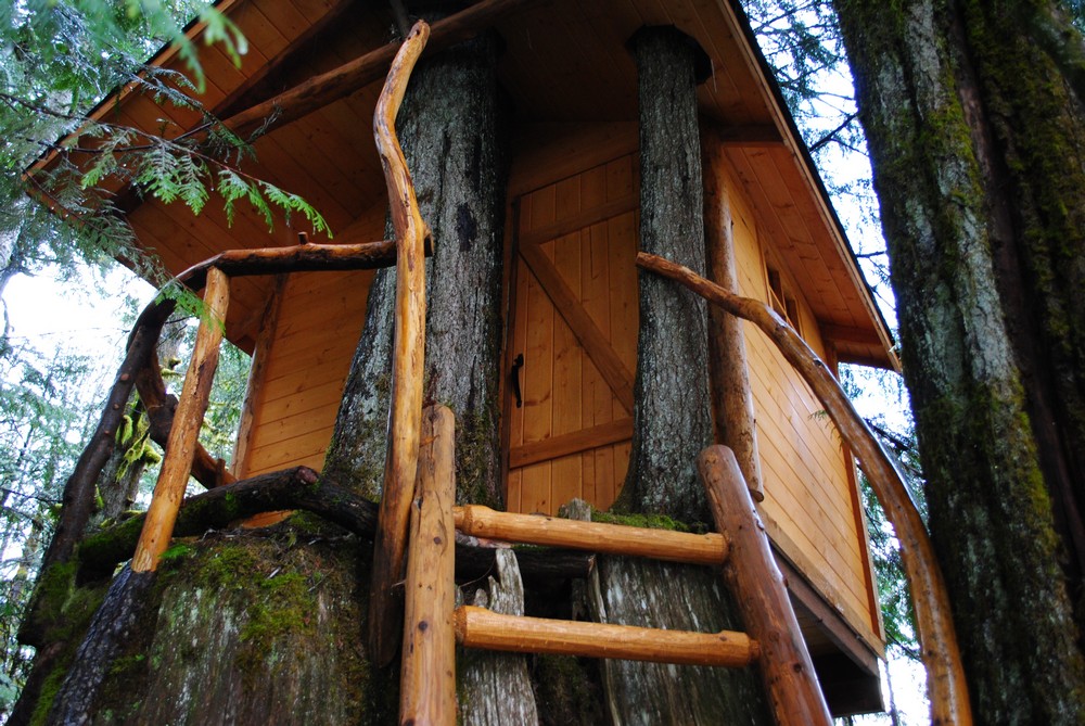 A place the kids can call their own A place the kids can call their own